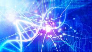 The gut-brain axis and Parkinson’s disease: implications for disease mechanisms and treatment