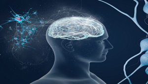 Sensory differences and neuroimmune dysfunction in neurodevelopmental disorders