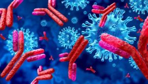 Computational Design of Smart Antibodies