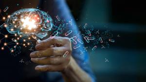 Parkinson’s Disease: From basic mechanisms to treatment and prevention