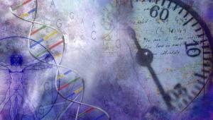 Mitochondria: Past and Present – Evolution, Proteostasis, Dynamics & Disease