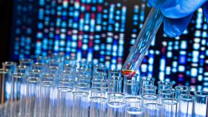 Intoxicating effector cocktails served by bacterial type VI secretion systems