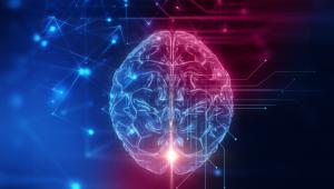A Deep Molecular Understanding of Parkinson’s Disease Reveals Innovative Disease Modifying Therapies