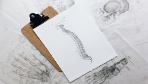 Back pain - from diagnosis to treatment