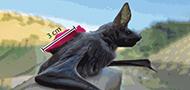 Onboard Sensors Reveal New Insights into Animal Decision-Making