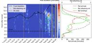 Complex competition interactions between Egyptian fruit bats and black rats in the real world