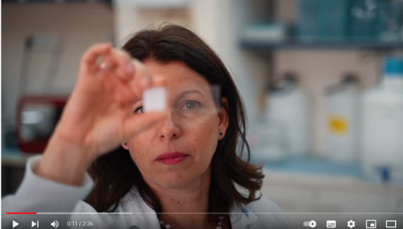 Prof Neta Erez 