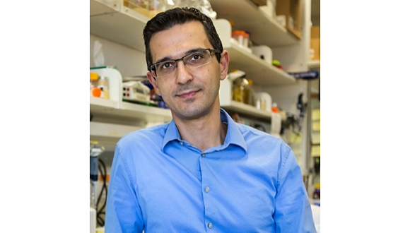 Prof. Dor Salomon promoted to Associate Professor