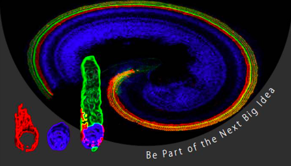Webinar recording: Gene Therapy- A New Pathway to Deafness Treatment?