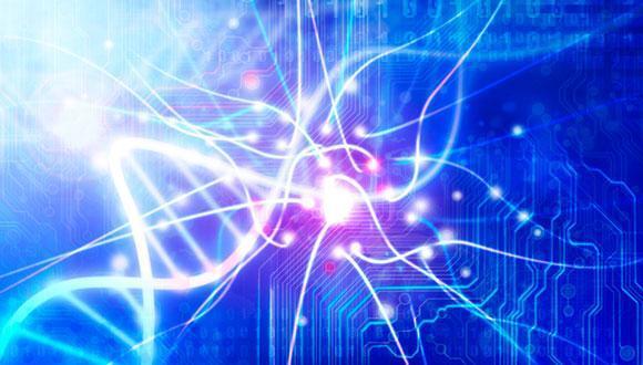 Mitochondrial Dynamics in Parkinson’s Disease Pathogenesis