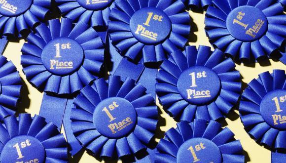 Dr. Yanina Ivashko-Pachima, post-doctoral fellow in Prof. Illana Gozes’ lab, was awarded first prize for Best Publication 2019-2020, by the Israel Society for Biological Psychiatry