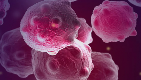 5th Esther and Zvi Weinstat Memorial Graduate Award in Cancer Research