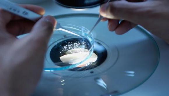 Find information about our researchers on CRIS