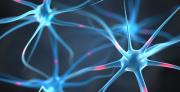 TAU Researchers Find Gene Mechanism Linked to Autism and Alzheimer's